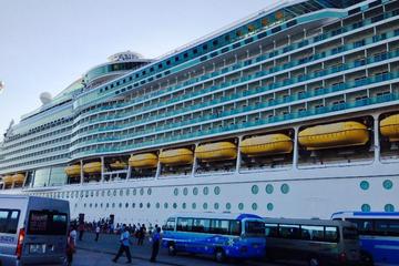 Vung Tau City Tour from Phu My Port