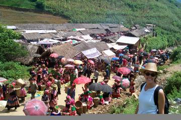 3-day Sapa trekking and Bac Ha market on Sunday