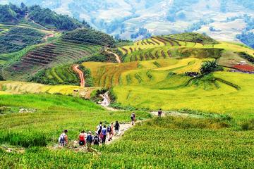4-day Explore Hanoi City and Sapa Highlights