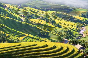 5 - Day Private Ha Giang Adventure Trekking Tour with homestay & ecolodge stay