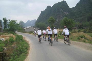 Private Tour: Hoa Lu and Tam Coc Boat and Bike Day Trip from Hanoi