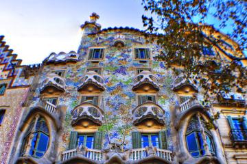 Barcelona Private Walking Tour including La Pedrera and Casa Batllo