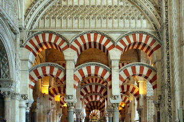 Córdoba Private Guided Day Tour from Madrid