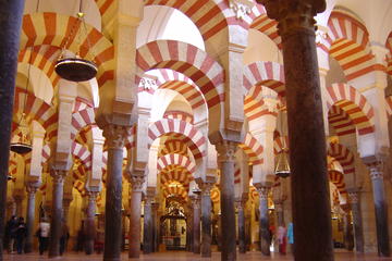 Cordoba Private Tour from Seville