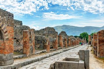 Private 4-Hour Shore Excursion to Pompeii from Naples Cruise Port