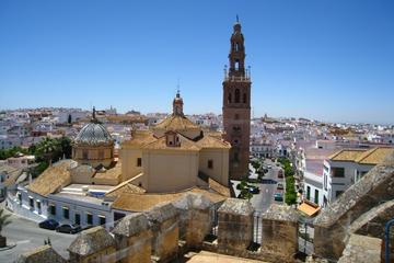 Private Full Day Tour of Carmona and Seville from Seville