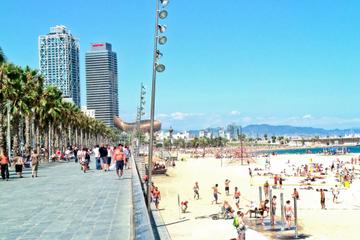 Private Full Day Walking City Tour in Barcelona