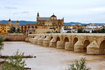 Private Guided City Tour of Cordoba