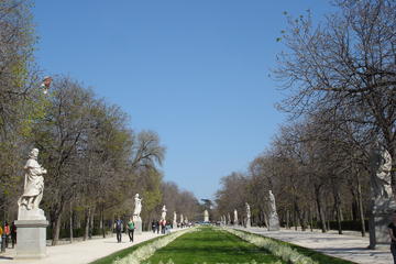 Private Guided Half Day City Tour in Madrid with Public Transportation
