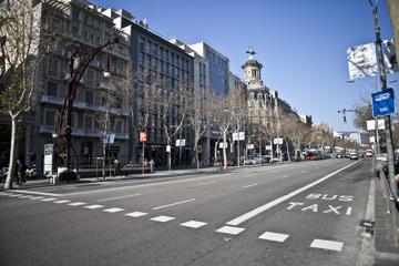 Private Half Day Walking City Tour in Barcelona