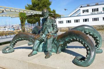 Private Shore Excursion or City Tour of Vigo