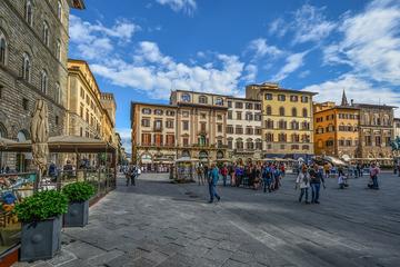 Private Shore Excursion to Florence from Livorno with private driver-guide