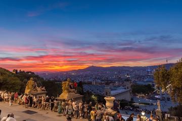 Private tour of Barcelona and La Roca Village with driver and guide