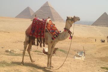 Cairo Giza and Luxor in Two Days in including Domestic flight
