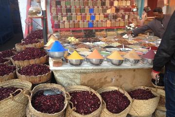 Souvenir Shopping in Luxor