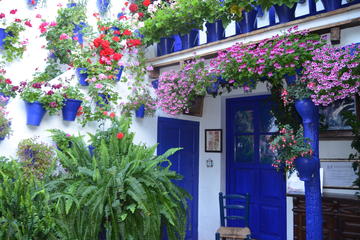 Cordoba Courtyards Walking Tour