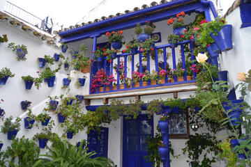 Cordoba Patios Festival Tour