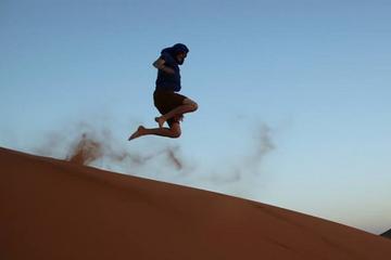4WD Massa Valley Day Tour from Agadir