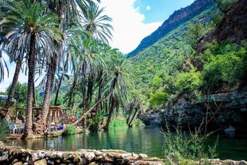 Paradise Valley Guided Day Trip from Agadir