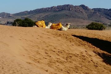 Safari Day Trip from Agadir