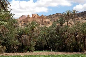 Tiout Oasis and Taroudant Guided Day Tour from Agadir