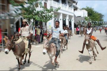 4-Day Lamu Island Excursion from Mombasa