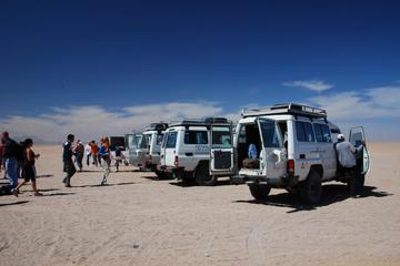 Bedouin BBQ in the Egyptian Desert from Hurghada by 4x4