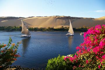 Day Trip to Aswan from Marsa Alam