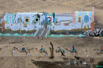 Private Tour from Aswan to Nubian Villiage by Motorboat