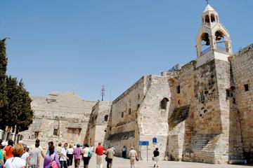 Half Day Private Tour in Bethlehem: Visit the birthplace of Jesus and Shepherd's Field