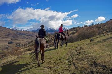 Small-Group Gold Discovery Horse Riding in Cardrona Valley
