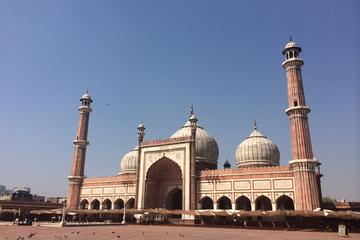 Heritage Day Tour of Old and New Delhi
