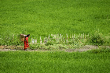 Private Half-Day Tour to Bungamati and Khokana Villages From Kathmandu