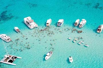 Stingray City Luncheon Package