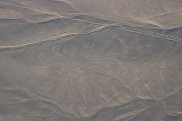Nazca Lines Tour from Lima Including Lunch