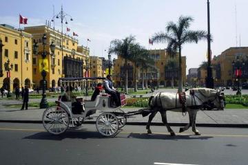 Private Lima City Tour with Larco Museum