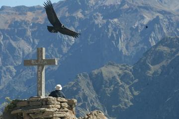 Private Tour: 2-Day Colca Canyon from Arequipa