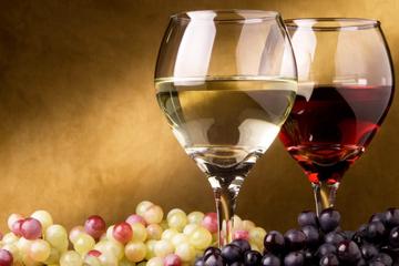 1-DAY TRIP FROM PLOVDIV TO WINE CELLARS AND WINE TASTING