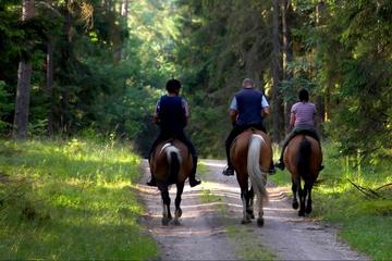 2-Day Horse Riding Tour in Sredna Gora from Plovdiv