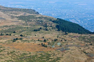 Birdwatching in Vitosha Nature Park from Sofia