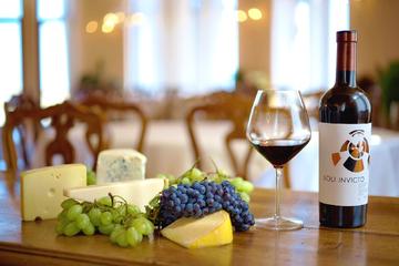 Edoardo Miroglio Boutique Winery tour
