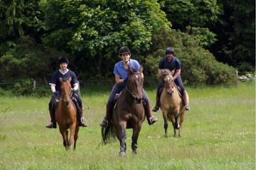Fullday Horse Riding in Sredna Gora