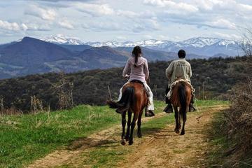 Horse Riding in Tetevan Balkan from Sofia