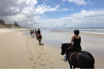 HORSE-RIDING PICNIC