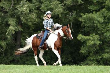Horse Riding Tour in Rhodope Mountains from Plovdiv