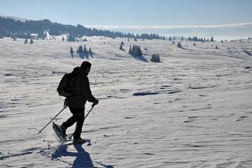One day hiking with snowshoes on Vitosha