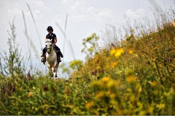 Teteven Horse Riding Experience from Sofia including Overnight Stay