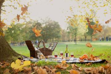 WINE GROWERS PICNIC