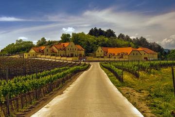 2day private tour of wine region in Czech Republic and Bratislava from Vienna
