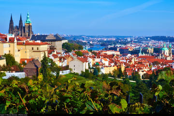 Private Full-Day Prague Tour from Vienna